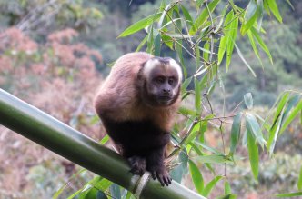 Manu National Park tour from Cusco