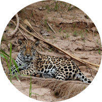 Manu National Park tour from Cusco